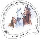 Region 16 Logo